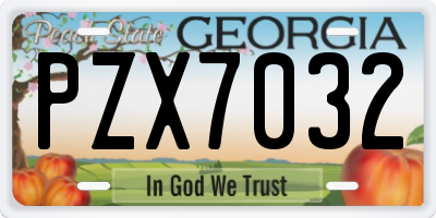 GA license plate PZX7032