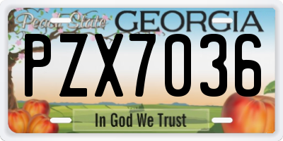 GA license plate PZX7036
