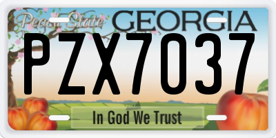 GA license plate PZX7037
