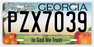 GA license plate PZX7039