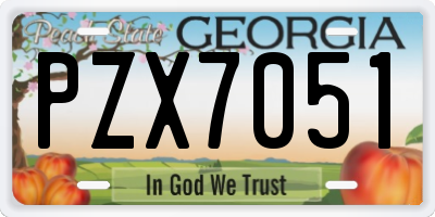 GA license plate PZX7051