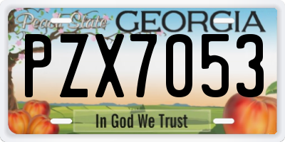 GA license plate PZX7053