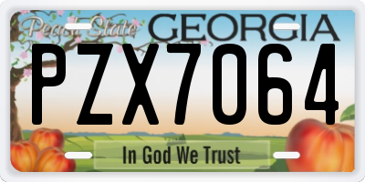 GA license plate PZX7064