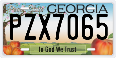 GA license plate PZX7065
