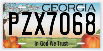 GA license plate PZX7068