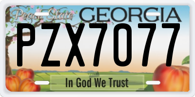 GA license plate PZX7077