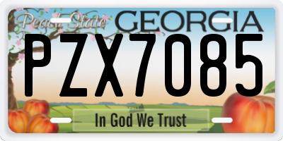 GA license plate PZX7085