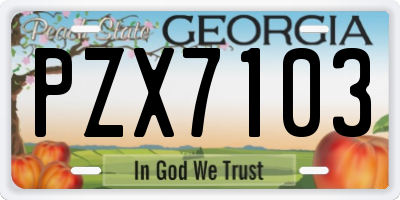 GA license plate PZX7103