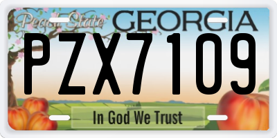 GA license plate PZX7109