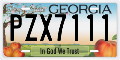 GA license plate PZX7111