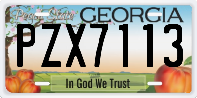 GA license plate PZX7113