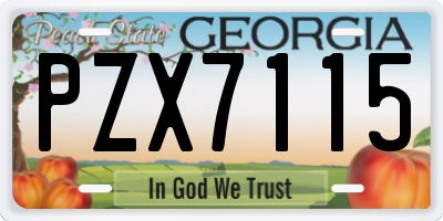 GA license plate PZX7115