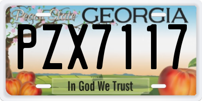 GA license plate PZX7117