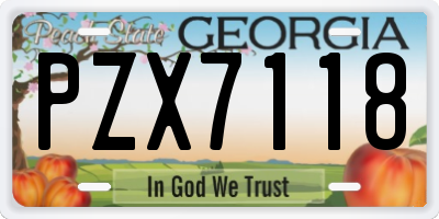 GA license plate PZX7118