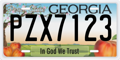 GA license plate PZX7123