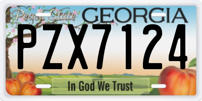 GA license plate PZX7124
