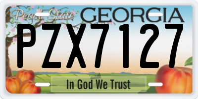 GA license plate PZX7127