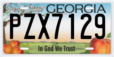 GA license plate PZX7129