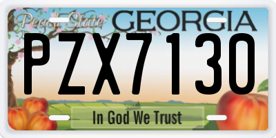 GA license plate PZX7130