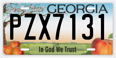 GA license plate PZX7131