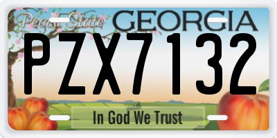 GA license plate PZX7132