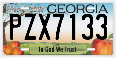GA license plate PZX7133