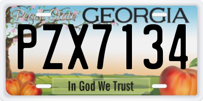 GA license plate PZX7134