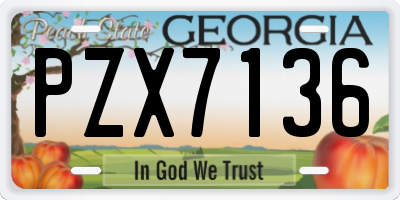 GA license plate PZX7136