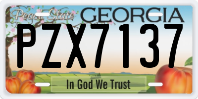 GA license plate PZX7137