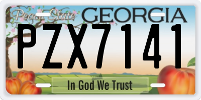 GA license plate PZX7141
