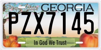 GA license plate PZX7145
