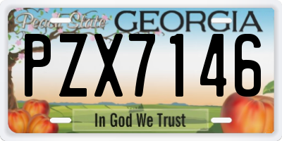 GA license plate PZX7146