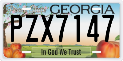 GA license plate PZX7147