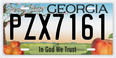 GA license plate PZX7161