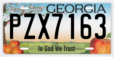 GA license plate PZX7163