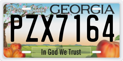 GA license plate PZX7164
