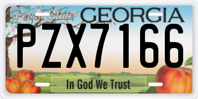 GA license plate PZX7166