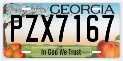 GA license plate PZX7167
