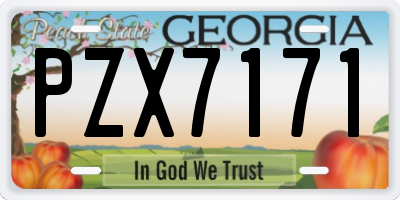 GA license plate PZX7171