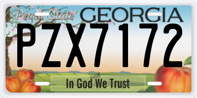 GA license plate PZX7172