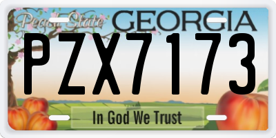 GA license plate PZX7173