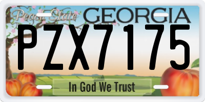 GA license plate PZX7175