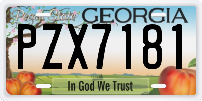 GA license plate PZX7181