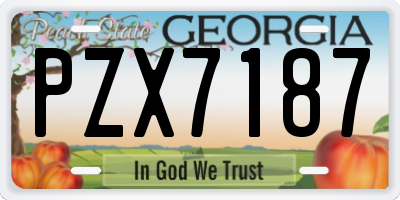 GA license plate PZX7187
