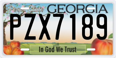 GA license plate PZX7189