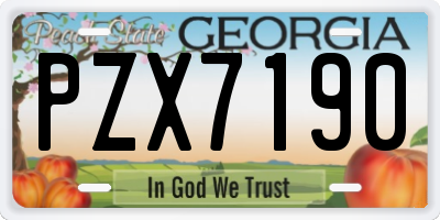 GA license plate PZX7190