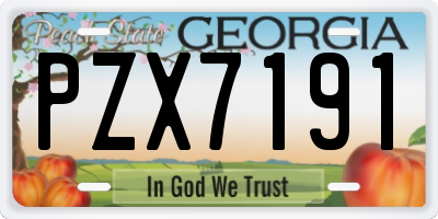 GA license plate PZX7191