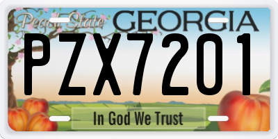 GA license plate PZX7201