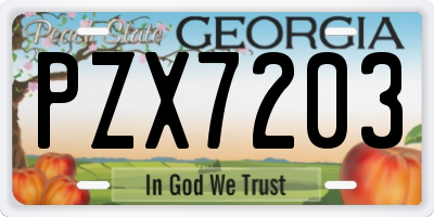 GA license plate PZX7203