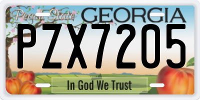 GA license plate PZX7205